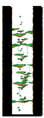 Minimap of Dungeon, Southern Forest II