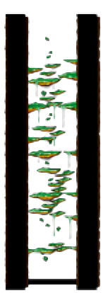 Minimap of Tree Dungeon, Monkey Forest II