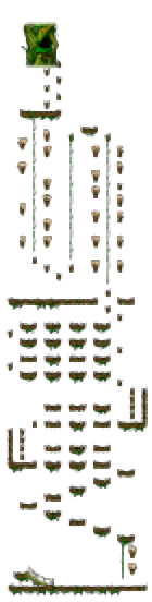 Minimap of The Forest of Patience <Step 2>