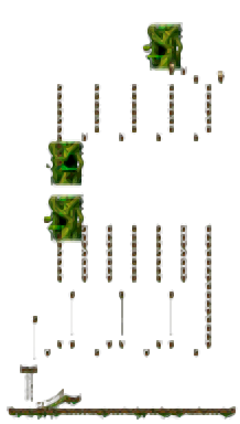 Minimap of The Forest of Patience <Step 3>