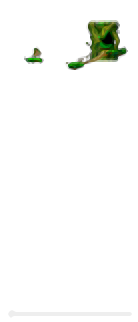 Minimap of Top of the Tree That Grew