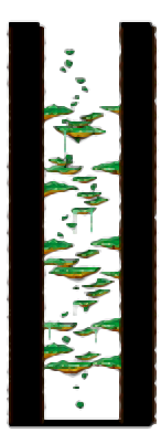 Minimap of Tree Dungeon, Forest Up North II
