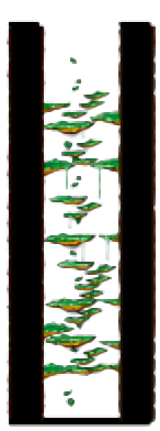 Minimap of Tree Dungeon, Forest Up North V