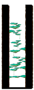 Minimap of Tree Dungeon, Forest Up North VI