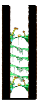 Minimap of Tree Dungeon, Forest Up North IX