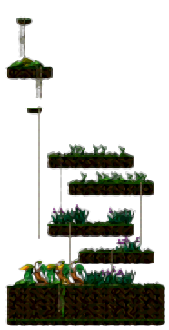Minimap of Sleepy Dungeon II