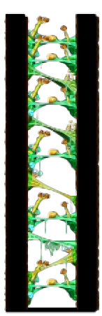 Minimap of Magician's Tree Dungeon