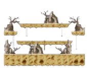 Minimap of Frilled Field