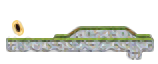 Minimap of Back Yard
