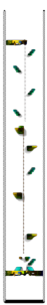 Minimap of Tower's Trap
