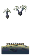 Minimap of Silent Yard of Moon Flowers